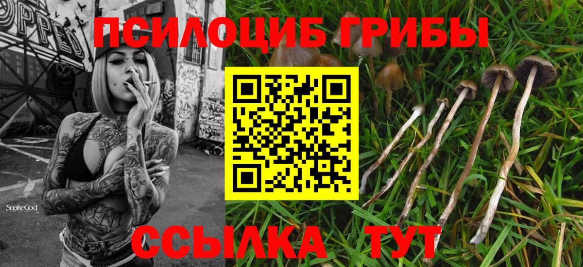 Псилоцибиновые грибы Magic Shrooms Муравленко