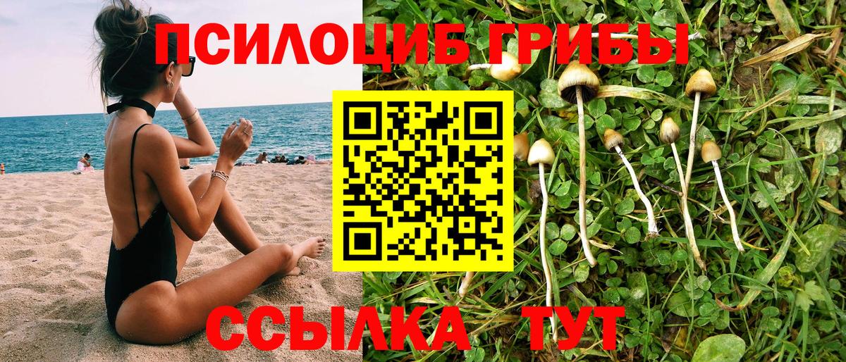 Муравленко  Галлюциногенные грибы ЛСД  купить наркотики сайты  Вход с VPN 