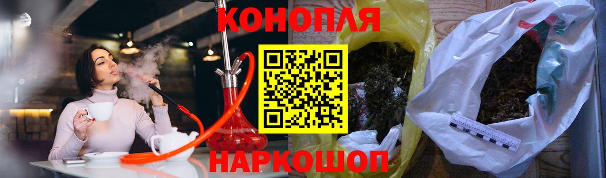 Каннабис план Муравленко